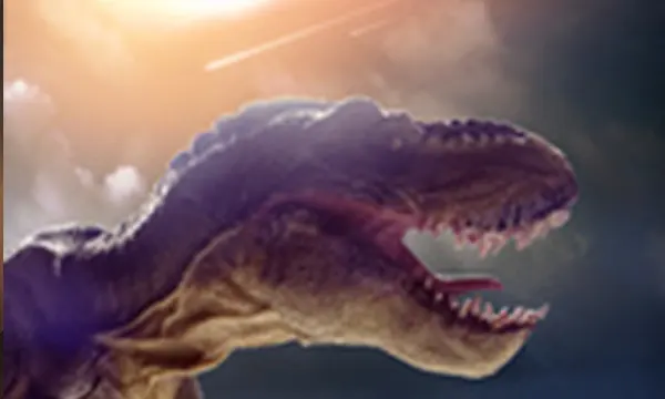 Chicxulub Pub Phuket Town Mexican Bar