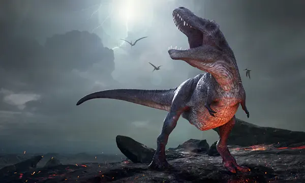 Chicxulub Pub Phuket Town Mexican Bar