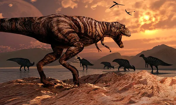 Chicxulub Pub Phuket Town Mexican Bar