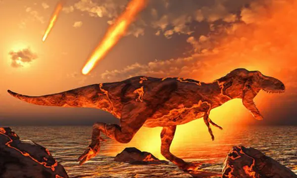 Chicxulub Pub Phuket Town Mexican Bar