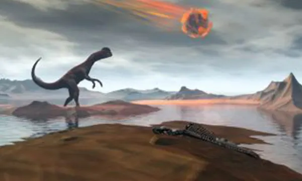 Chicxulub Pub Phuket Town Mexican Bar