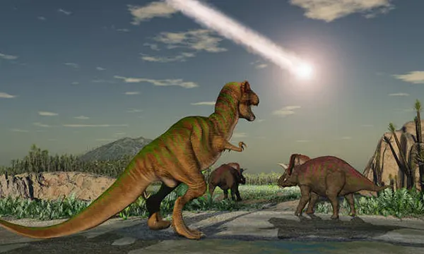 Chicxulub Pub Phuket Town Mexican Bar