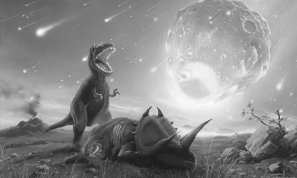 Chicxulub Pub Phuket Town Mexican Bar