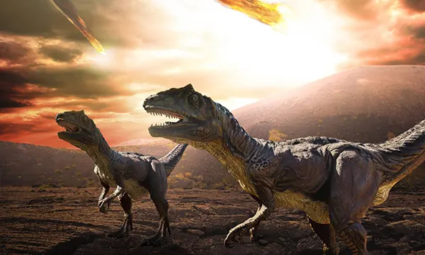 Chicxulub Pub Phuket Town Mexican Bar