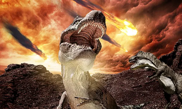 Chicxulub Pub Phuket Town Mexican Bar