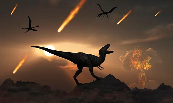 Chicxulub Pub Phuket Town Mexican Bar