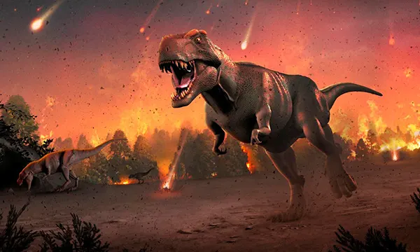 Chicxulub Pub Phuket Town Mexican Bar